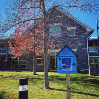 Little Free Library in front of Autumn tree and brick building